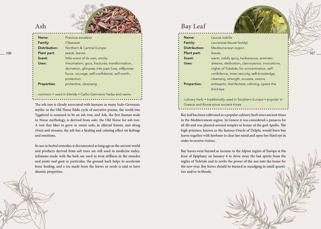Complete Smudging Handbook by Markus Schirner: Paperback; 176 pages / English