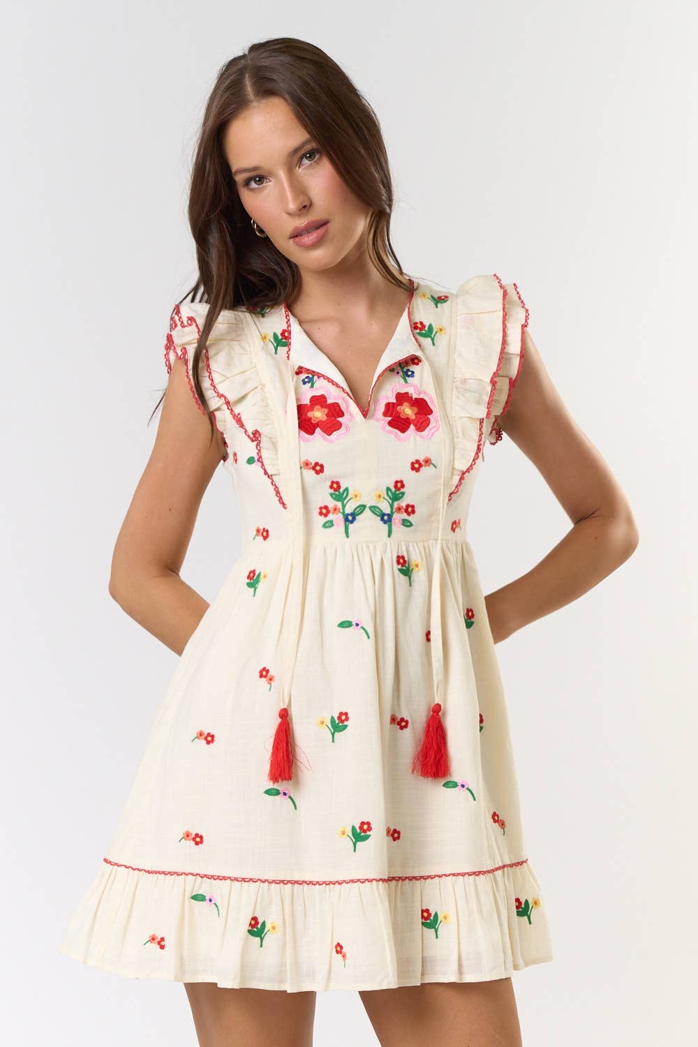 Layered Flutter Sleeve Embroidered Mini Dress