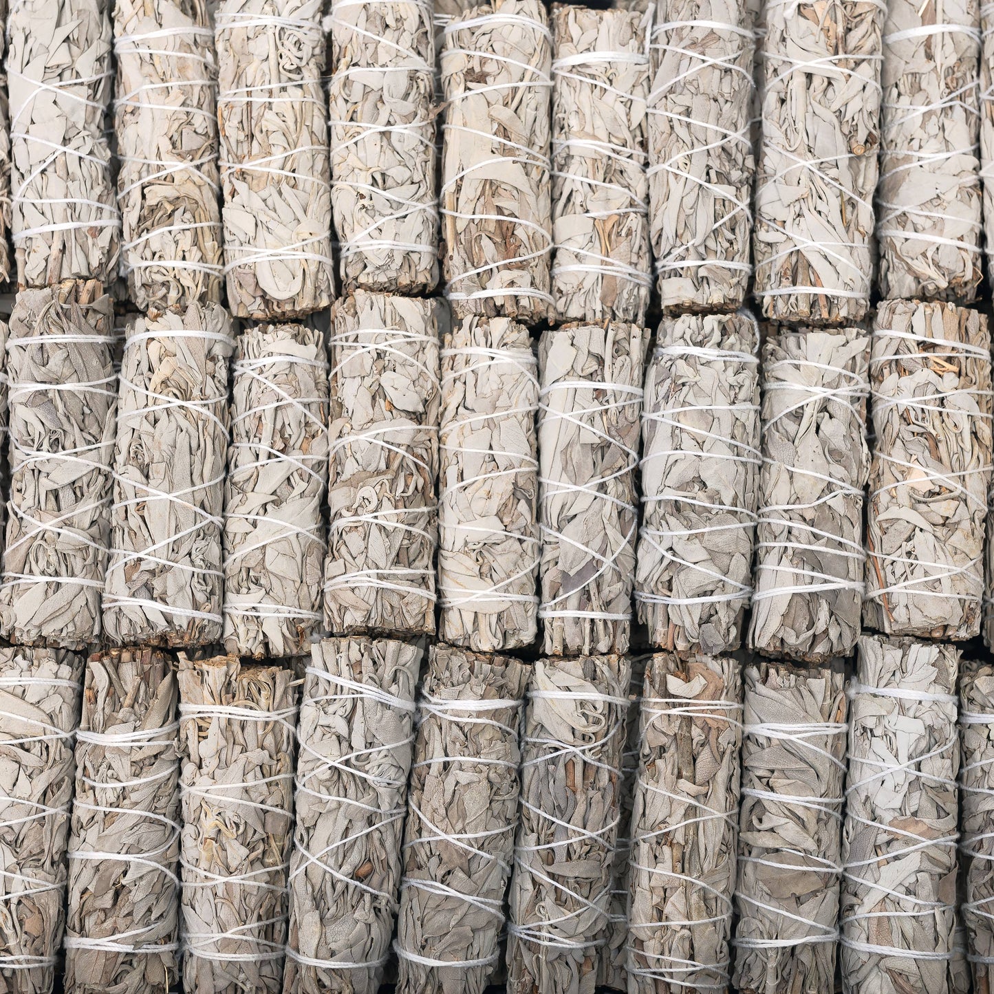 California White Sage (Salvia Apiana) Smudge Sticks