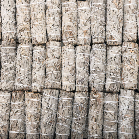 California White Sage (Salvia Apiana) Smudge Sticks