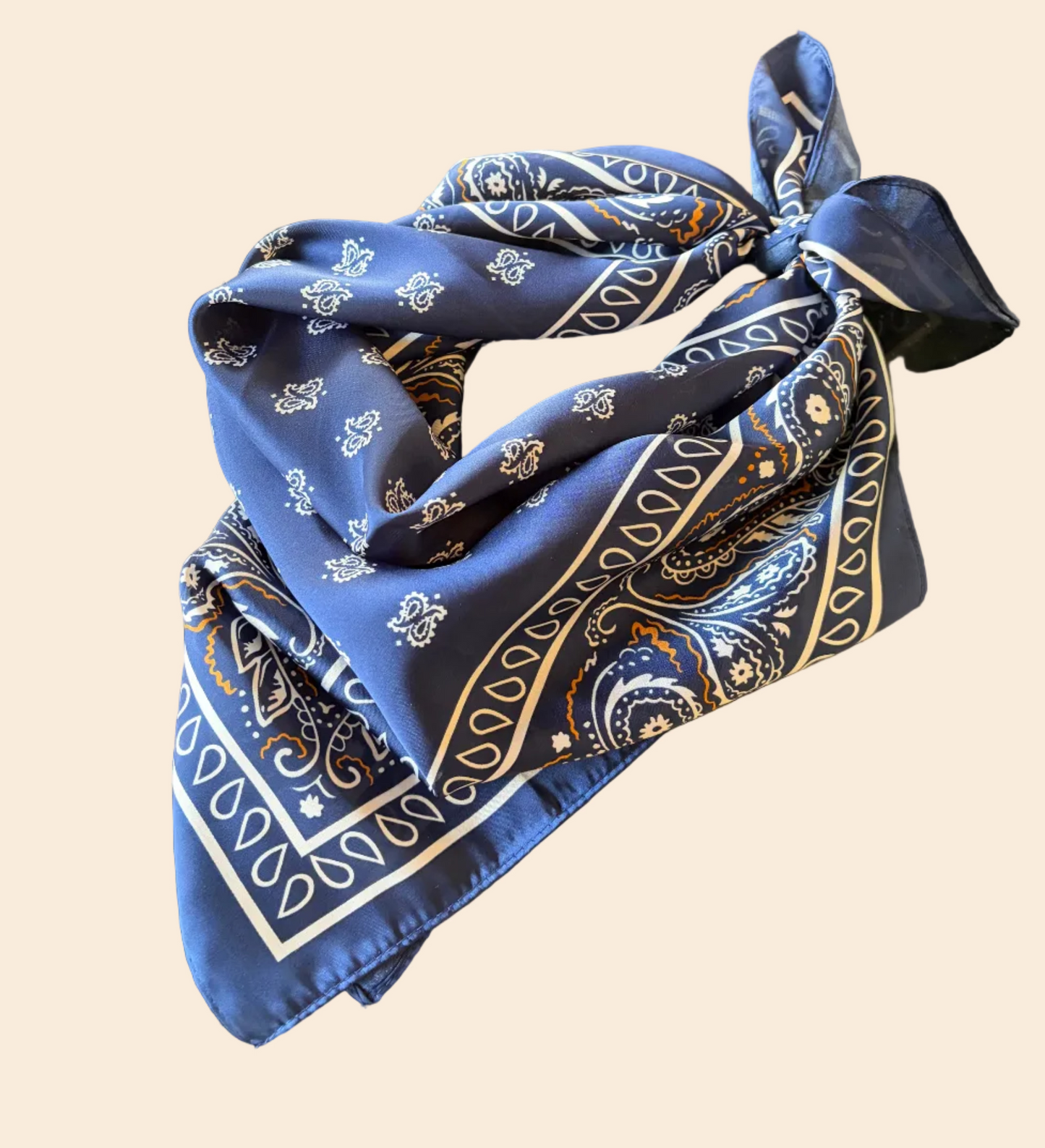 Midnight Paisley Scarf
