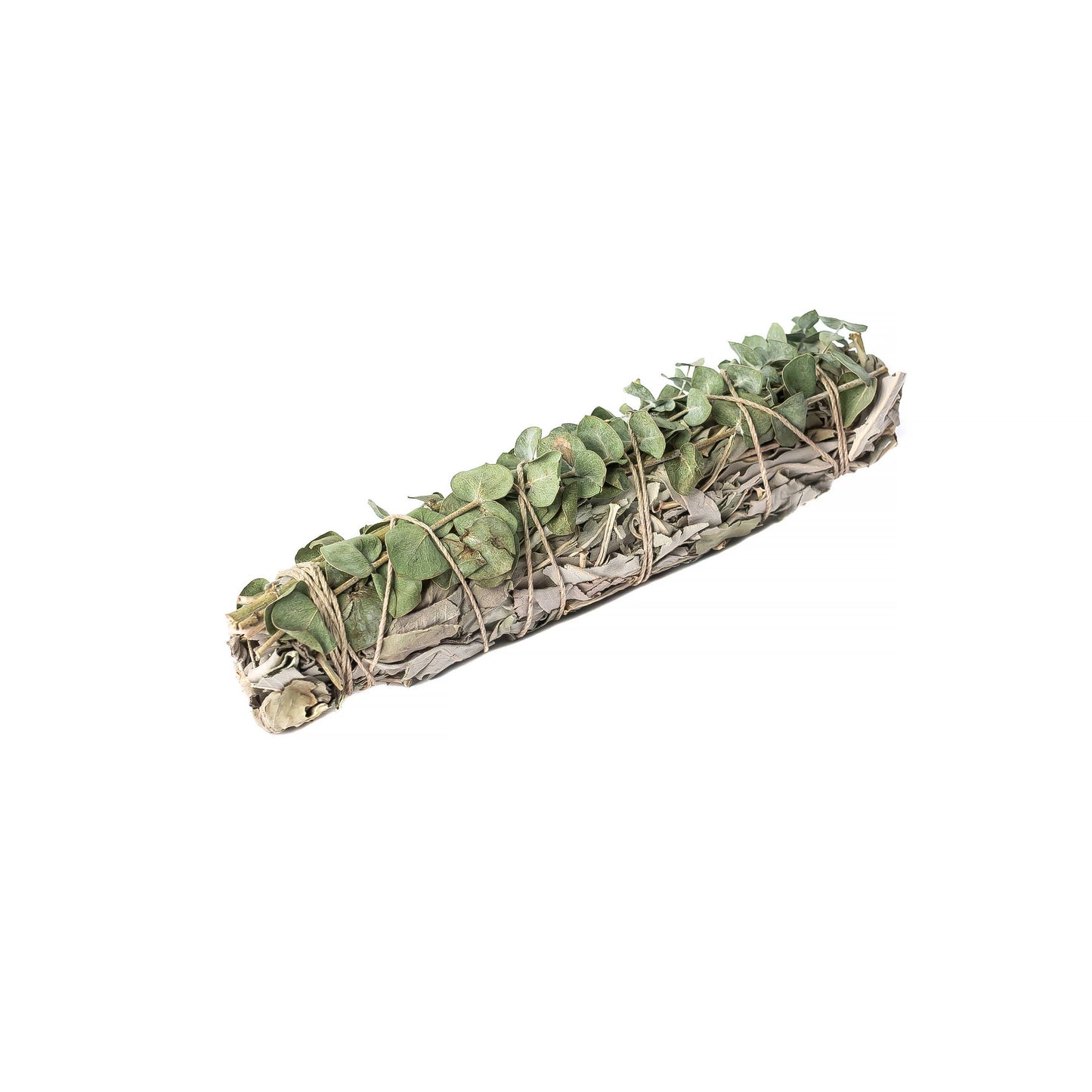 Eucalyptus Wrapped  8" Sage Bundle