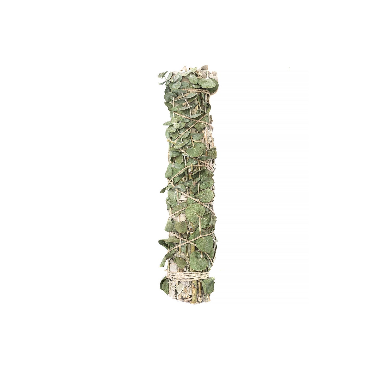 Eucalyptus Wrapped  8" Sage Bundle