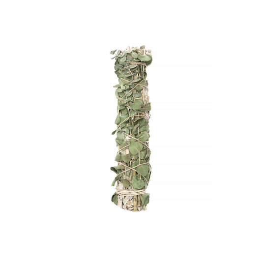 Eucalyptus Wrapped  8" Sage Bundle
