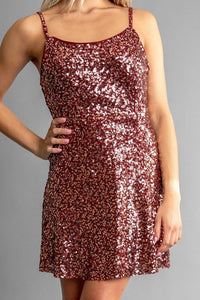 Bethany Sparkle Dress