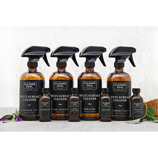 Cleaner Soul Spray | All Purpose Cleaner | Assorted Scents