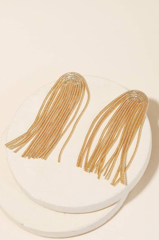 Snake Chain Arch Fringe Earrings